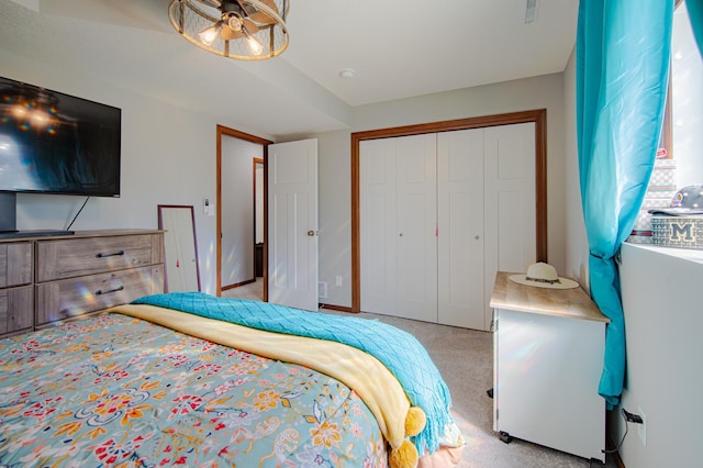 1004 7th Ave NW, Kasson, MN 55944 - bedroom with carpet and a closet