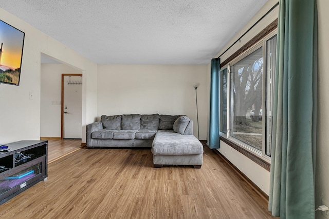 1410 12th Ave N, Saint Cloud, MN 56303 - living area with a textured ceiling, light wood finished floors, and baseboards