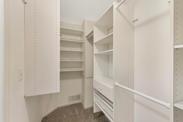 20338 Kensfield Trl Unit 1606, Lakeville, MN 55044 - spacious closet with carpet floors