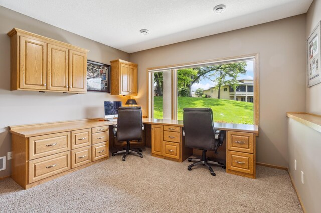11030 Amen Cir NE, Blaine, MN 55449 - photo 43