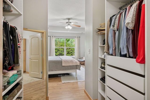 4132 Vernon Ave S Unit A103, Saint Louis Park, MN 55416 - walk in closet featuring light wood finished floors and ceiling fan