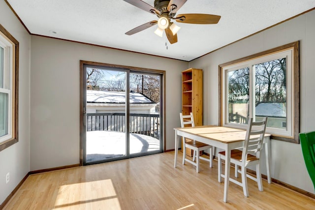 3311 Yukon Ave S, Saint Louis Park, MN 55426 - dining area featuring light wood-type flooring, ornamental molding, baseboards, a ceiling fan, and a textured ceiling