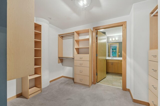 401 2nd St N Unit 220, Minneapolis, MN 55401 - spacious closet featuring light carpet and a sink