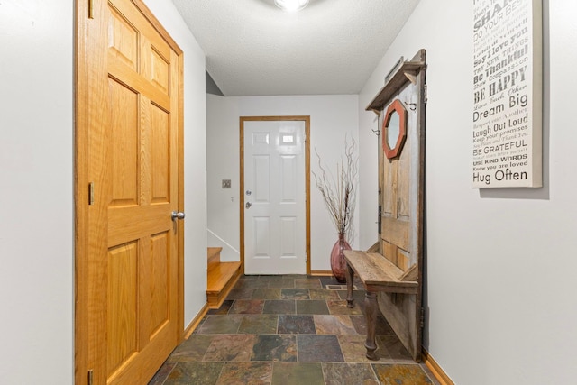 1680 Bluebird Ln, Mound, MN 55364 - mudroom featuring stone finish flooring, baseboards, and a textured ceiling