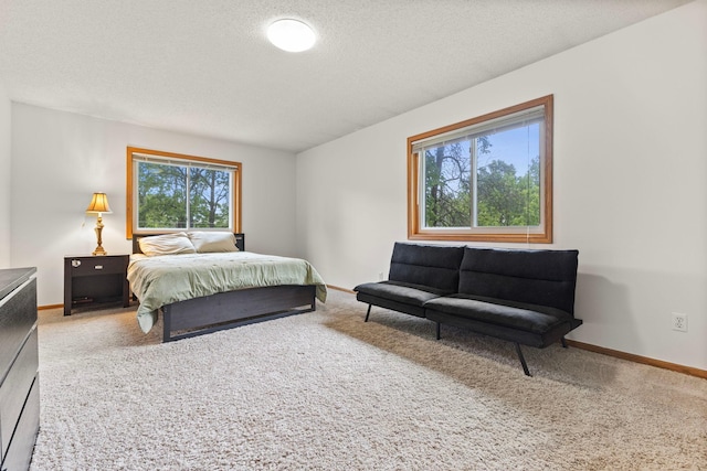 1680 Bluebird Ln, Mound, MN 55364 - carpeted bedroom featuring multiple windows, a textured ceiling, and baseboards