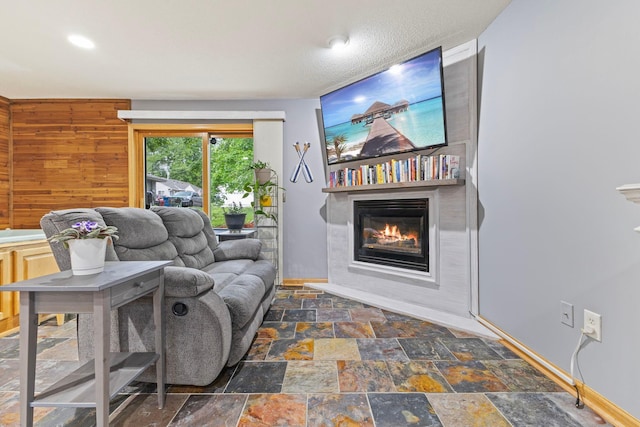 1680 Bluebird Ln, Mound, MN 55364 - living room with stone finish flooring, a glass covered fireplace, and baseboards