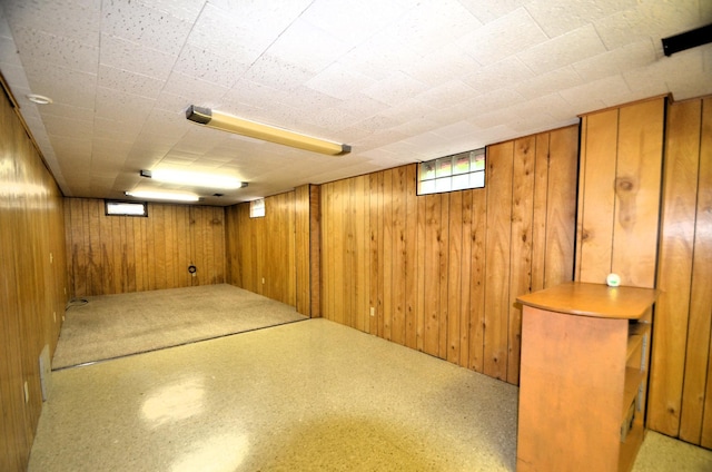 415 Hubbard Ave N, Litchfield, MN 55355 - below grade area featuring wooden walls
