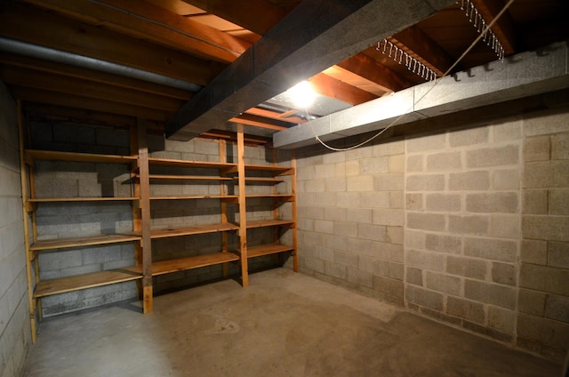 415 Hubbard Ave N, Litchfield, MN 55355 - unfinished below grade area with concrete block wall