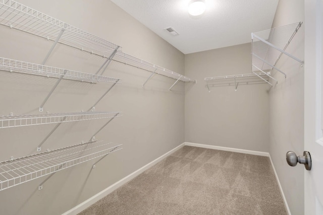 5010 Sandpebble Ln, Woodbury, MN 55129 - spacious closet with carpet floors