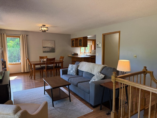 507 Pine Ridge Ter, River Falls, WI 54022 - living area with wood finished floors and a textured ceiling