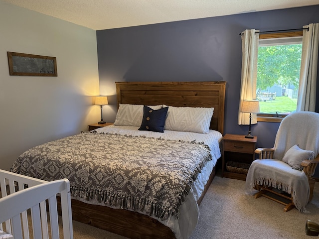 507 Pine Ridge Ter, River Falls, WI 54022 - bedroom with carpet floors