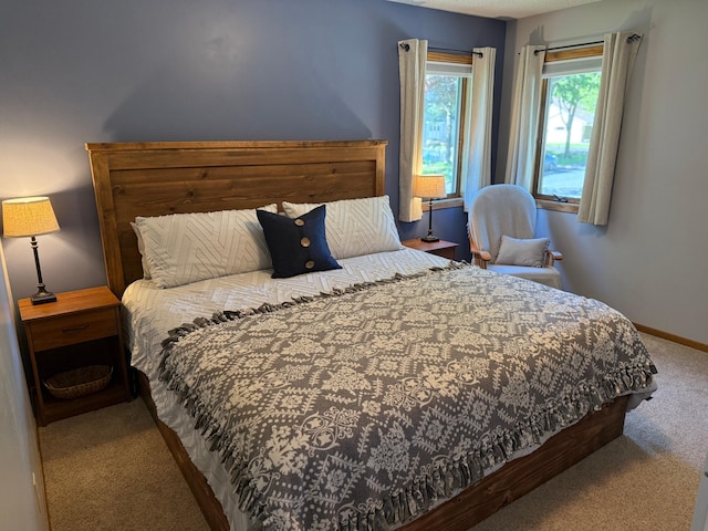 507 Pine Ridge Ter, River Falls, WI 54022 - bedroom with carpet flooring and baseboards