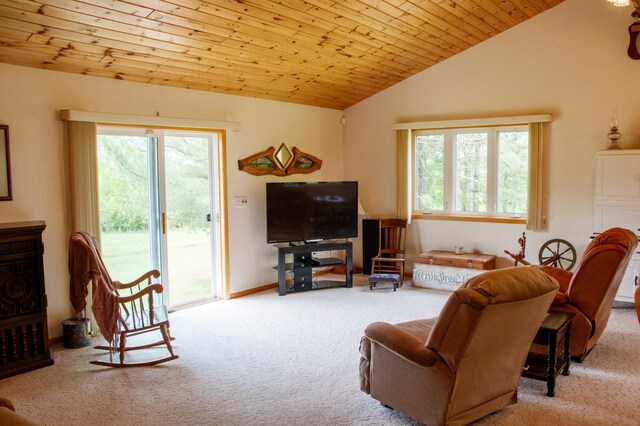 11005 320th St, Clover Twp, MN 56470 - living room with vaulted ceiling, carpet, wood ceiling, and baseboards