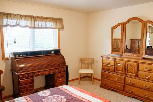 11005 320th St, Clover Twp, MN 56470 - bedroom featuring light carpet and baseboards