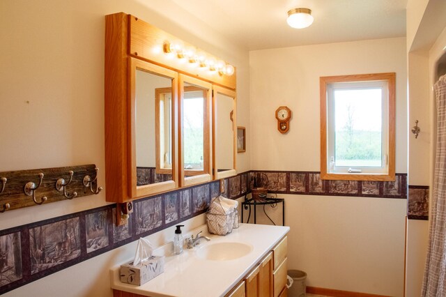 11005 320th St, Clover Twp, MN 56470 - full bathroom featuring vanity and a wainscoted wall