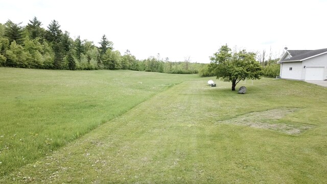 11005 320th St, Clover Twp, MN 56470 - view of green lawn with a garage
