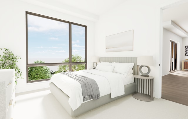2815 44th St Unit 15, Minneapolis, MN 55410 - view of bedroom