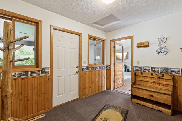 4765 344th Ln NW, Cambridge, MN 55008 - entryway featuring a wainscoted wall, wooden walls, a textured ceiling, and dark colored carpet