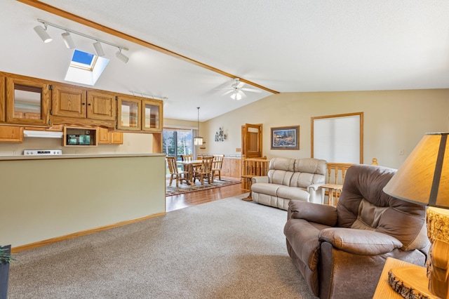 4765 344th Ln NW, Cambridge, MN 55008 - carpeted living room with track lighting, vaulted ceiling, a skylight, and a ceiling fan