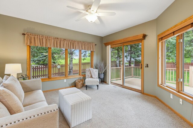 307 Lincoln Dr SE, Saint Michael, MN 55376 - living room featuring plenty of natural light, baseboards, and carpet flooring