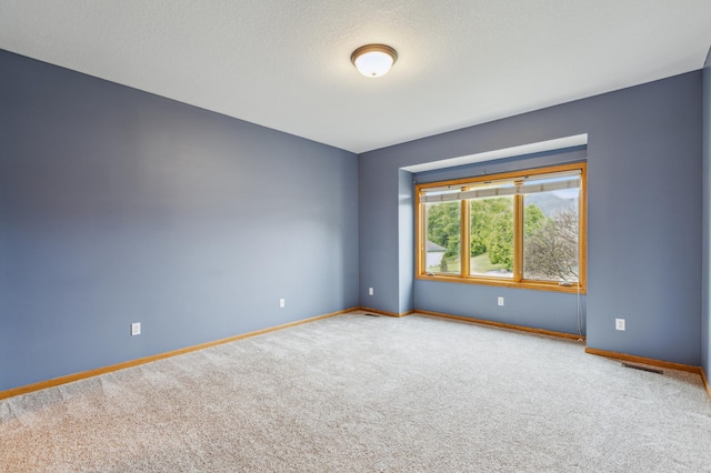 307 Lincoln Dr SE, Saint Michael, MN 55376 - carpeted empty room with baseboards