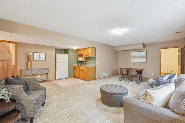 307 Lincoln Dr SE, Saint Michael, MN 55376 - living room featuring light colored carpet, baseboards, and a textured ceiling