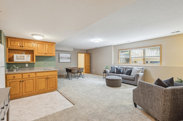 307 Lincoln Dr SE, Saint Michael, MN 55376 - living area with light colored carpet, bar with sink, and a textured ceiling