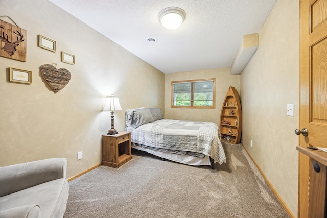 582 139th Ln NW, Andover, MN 55304 - carpeted bedroom with a textured ceiling and baseboards