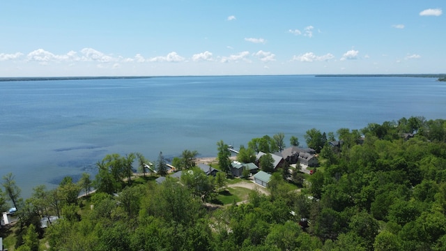 42606 Pleasure Park Rd, Otter Tail Twp, MN 56571 - water view