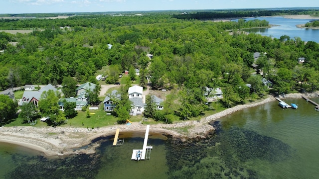 42606 Pleasure Park Rd, Otter Tail Twp, MN 56571 - aerial overview of property's location featuring a forest and a large body of water
