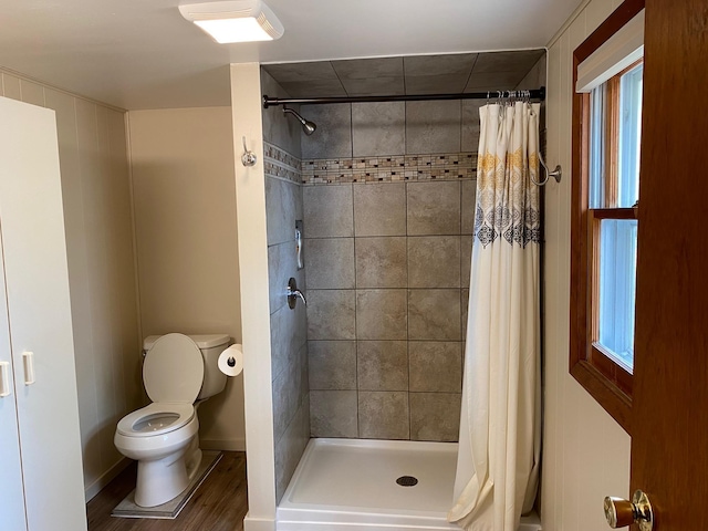 42606 Pleasure Park Rd, Otter Tail Twp, MN 56571 - bathroom with toilet, wood finished floors, a stall shower, and healthy amount of natural light