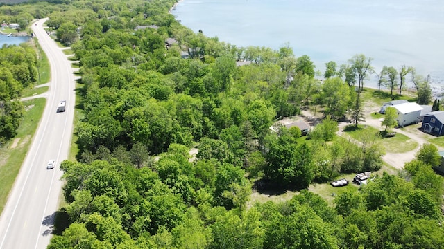 42606 Pleasure Park Rd, Otter Tail Twp, MN 56571 - bird's eye view of a nearby body of water