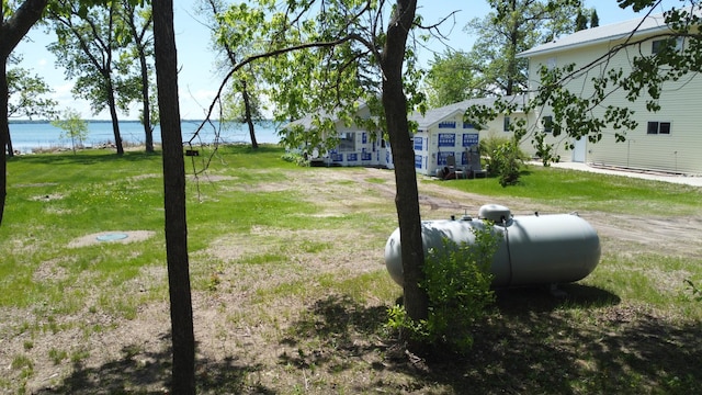 42606 Pleasure Park Rd, Otter Tail Twp, MN 56571 - view of yard featuring a water view