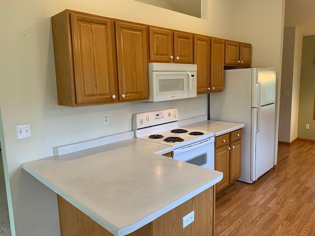 1539 Carleton Dr, Hastings, MN 55033 - photo 5