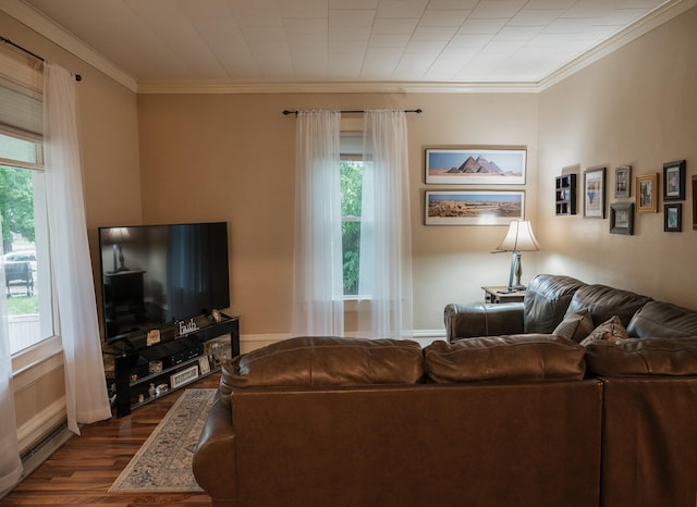 835 Park St, Fairmont, MN 56031 - living room featuring crown molding and dark wood-style flooring