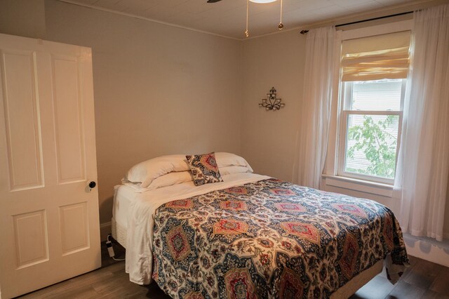 835 Park St, Fairmont, MN 56031 - bedroom featuring wood finished floors and a ceiling fan