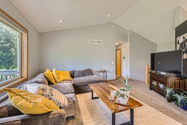220 Maverick Ave, Elko New Market, MN 55054 - living room with healthy amount of natural light, lofted ceiling, carpet flooring, and recessed lighting