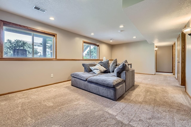 220 Maverick Ave, Elko New Market, MN 55054 - living area with light carpet and recessed lighting