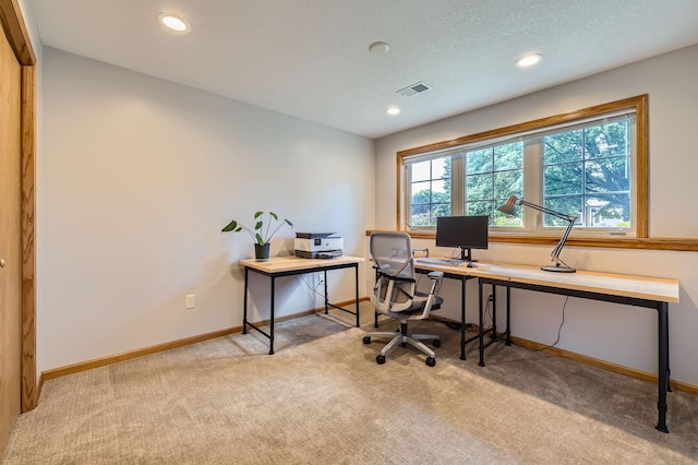 220 Maverick Ave, Elko New Market, MN 55054 - carpeted office space with recessed lighting