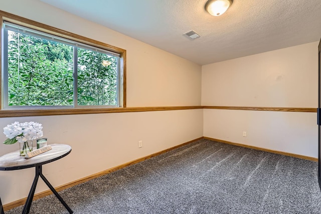 220 Maverick Ave, Elko New Market, MN 55054 - carpeted spare room featuring a textured ceiling and baseboards