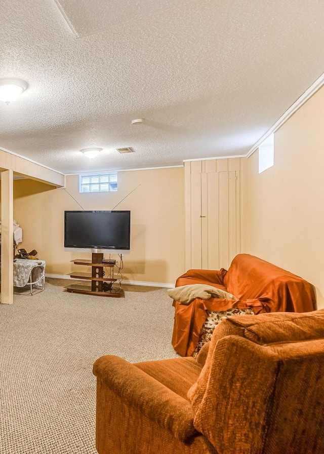 1221 43rd Ave NE, Columbia Heights, MN 55421 - living area with carpet, a textured ceiling, and baseboards