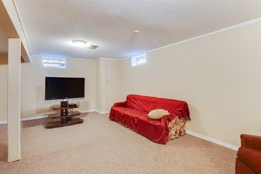 1221 43rd Ave NE, Columbia Heights, MN 55421 - living area with carpet, plenty of natural light, baseboards, ornamental molding, and a textured ceiling