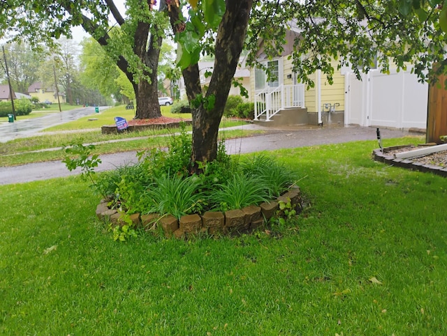1221 43rd Ave NE, Columbia Heights, MN 55421 - view of green lawn