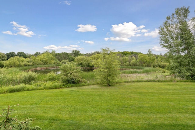 950 Willow View Dr, Orono, MN 55356 - photo 10