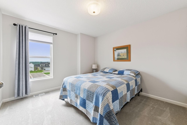 6678 Wildflower Way, Minnetrista, MN 55331 - bedroom featuring carpet flooring