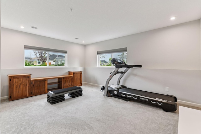 6678 Wildflower Way, Minnetrista, MN 55331 - workout area featuring carpet flooring and recessed lighting