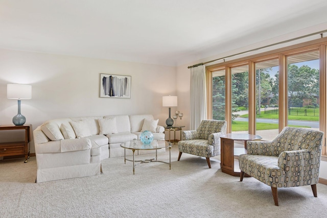 5456 Twin Lake Blvd E, Brooklyn Center, MN 55429 - living room featuring carpet