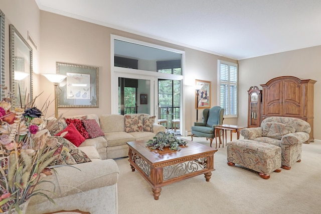 5601 Dewey Hill Rd Unit 310, Edina, MN 55439 - living area featuring ornamental molding and light colored carpet