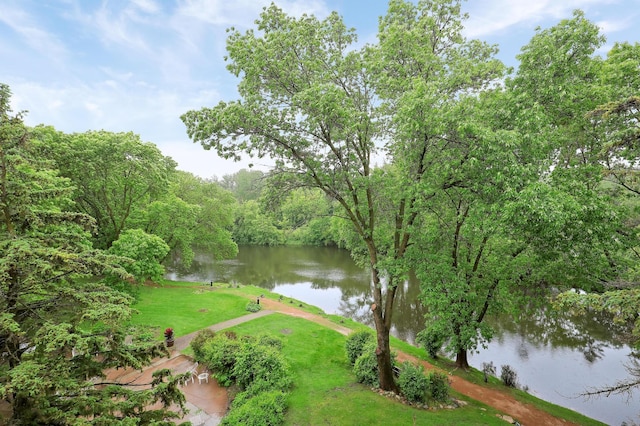 5601 Dewey Hill Rd Unit 310, Edina, MN 55439 - water view