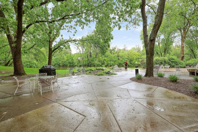 5601 Dewey Hill Rd Unit 310, Edina, MN 55439 - view of patio with area for grilling and outdoor dining space